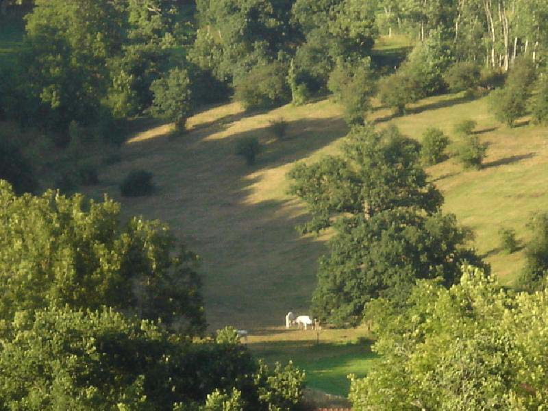 Au Domaine de la Pommeraye_14690 LA POMMERAYE_13